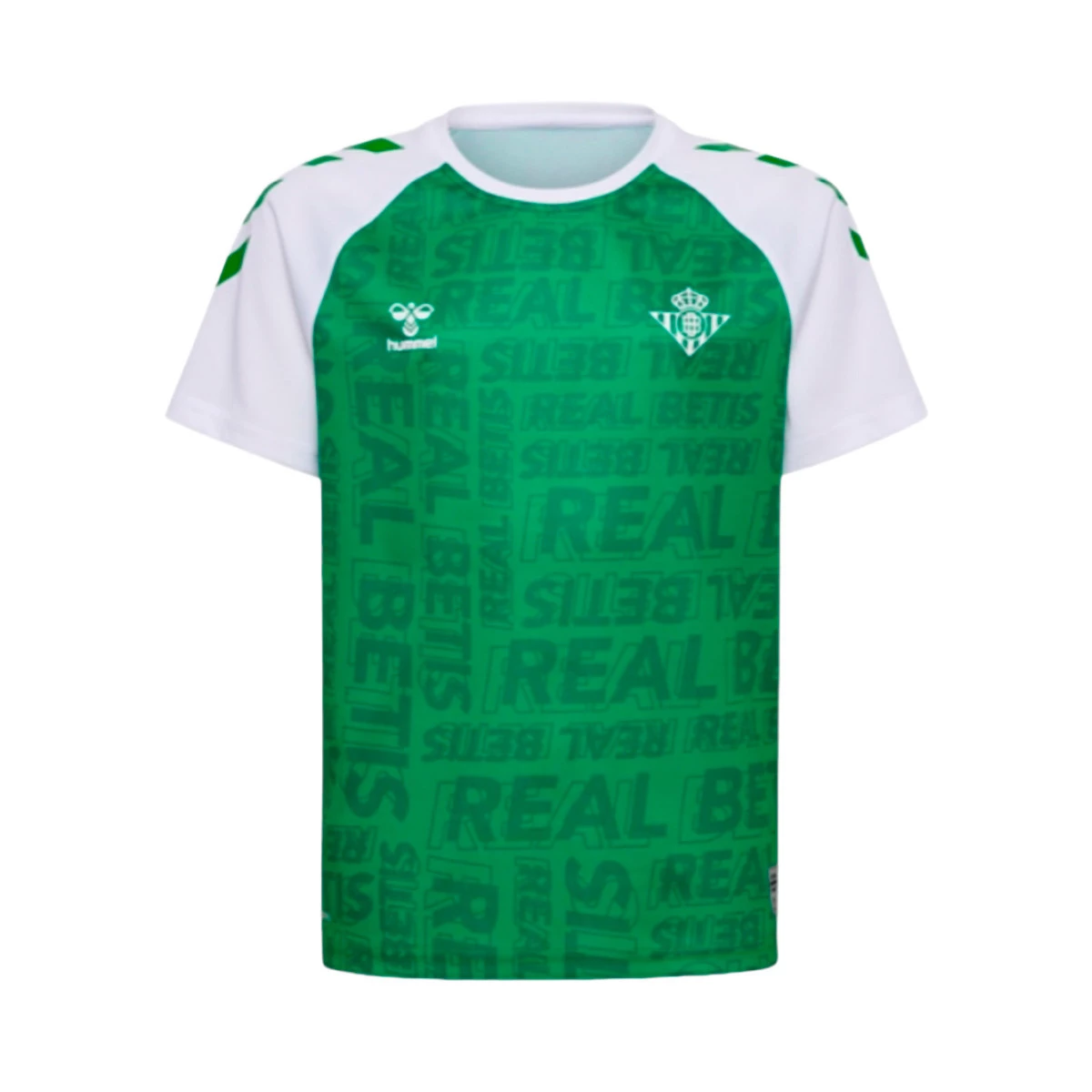 Conjunto Entrenamiento Real Betis