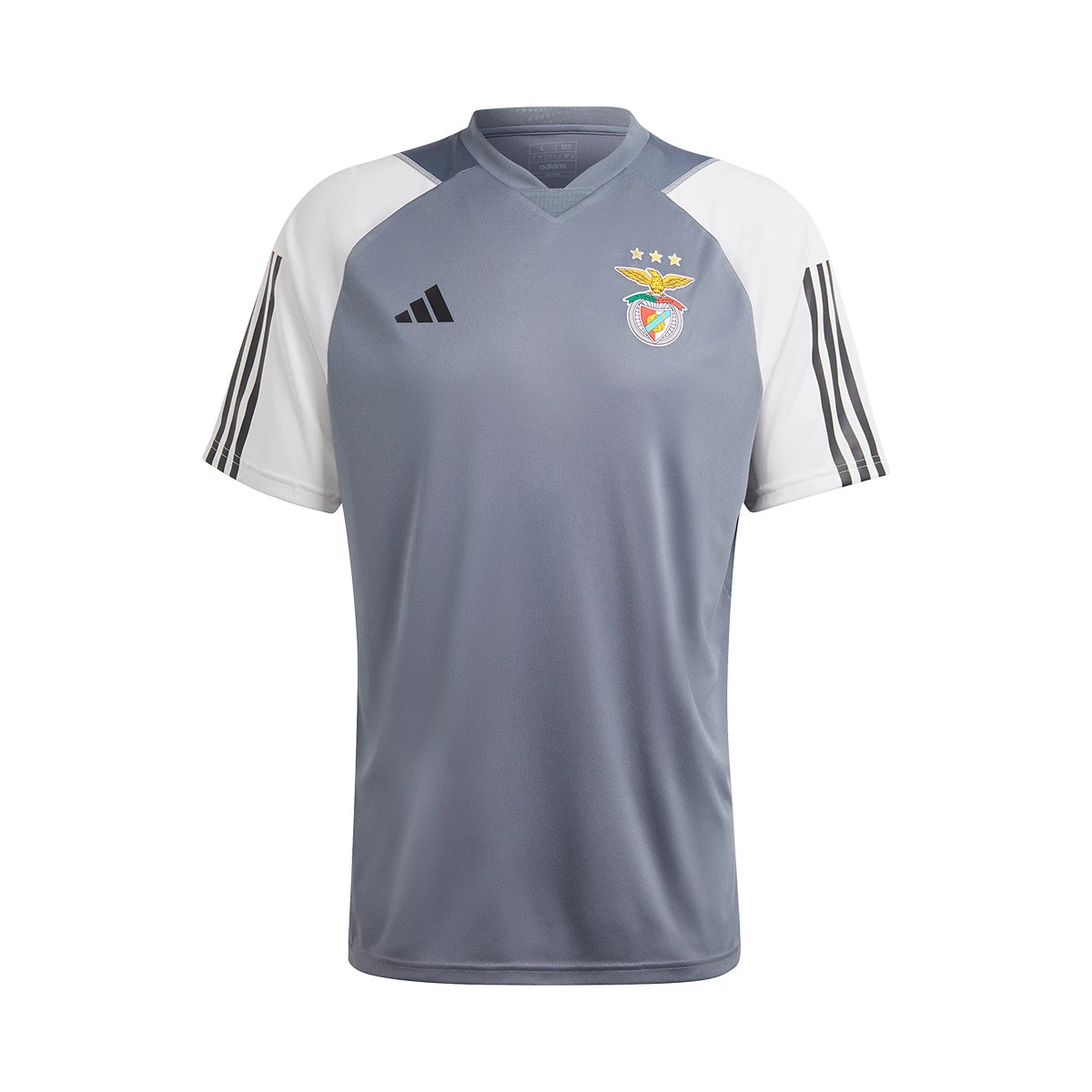 Conjunto Entrenamiento Benfica