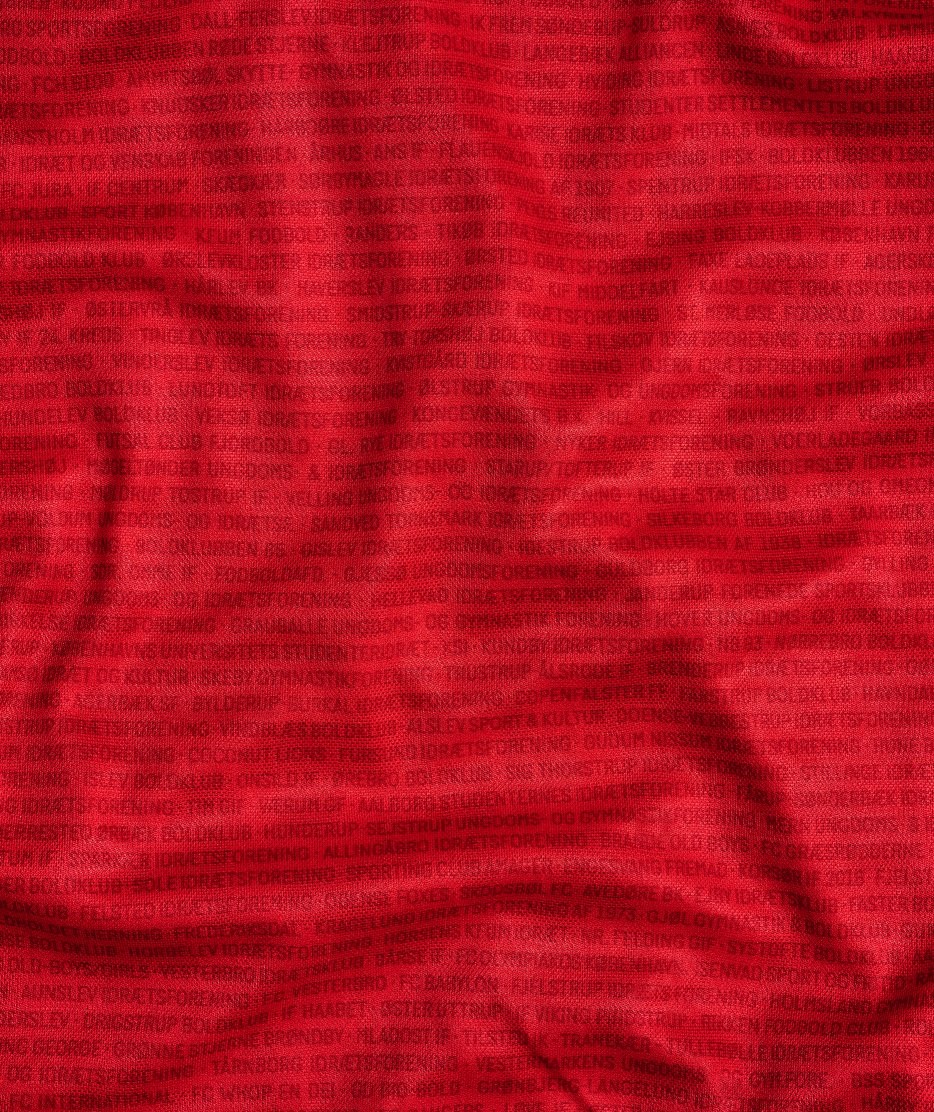 Camiseta Dinamarca Euro 2024 - Imagen 2