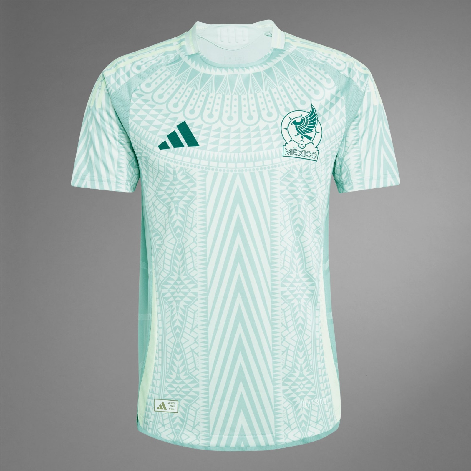 Camiseta México Copa de América 2024 (copia)