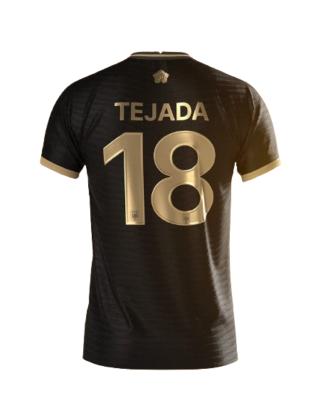 Camiseta Panamá Copa de América 2024 - Imagen 2