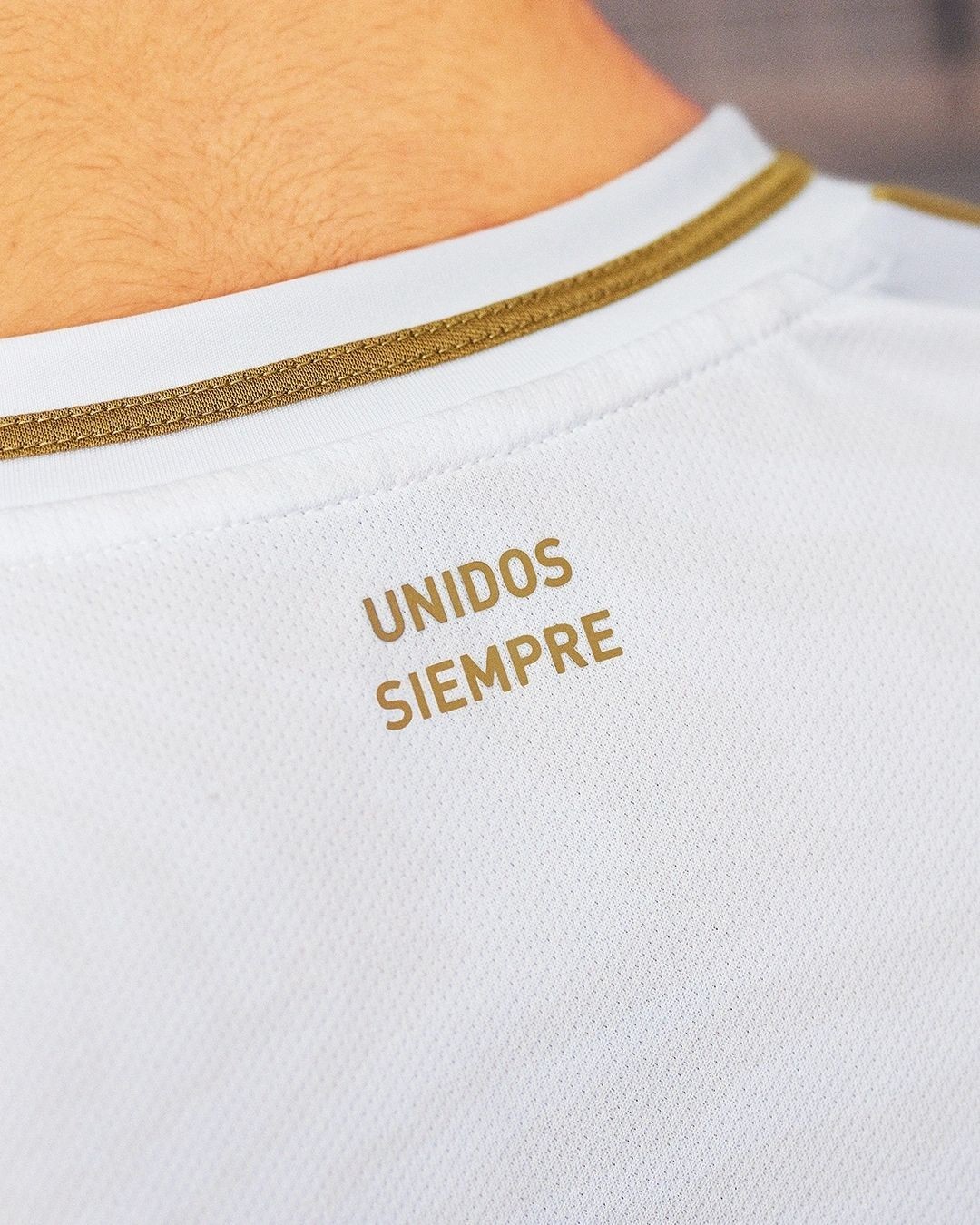 Camiseta Perú Copa de América 2024 - Imagen 5