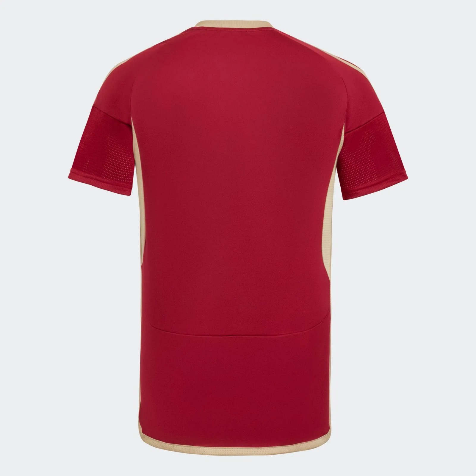 Camiseta Venezuela Copa de América 2024 - Imagen 2