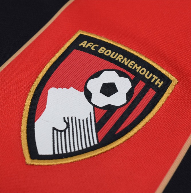 Camiseta Bournemouth 24/25 - Imagen 2
