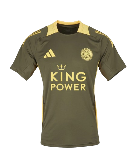 Camiseta Leister City 24/25
