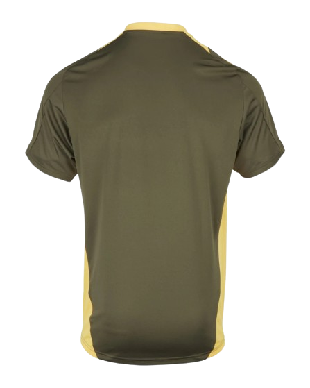 Camiseta Leister City 24/25 - Imagen 2