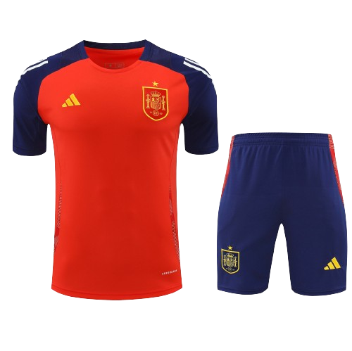 Conjunto Entrenamiento España