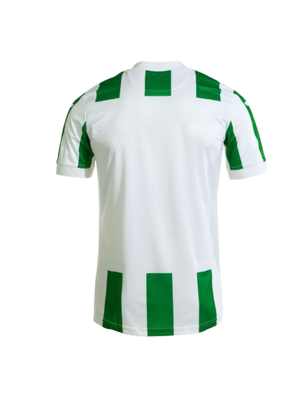 Camiseta Córdoba 24/25 - Imagen 2